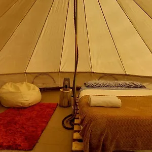 Luxury tent Nature Retreat - Laurel Forest, Seixal (Madeira)